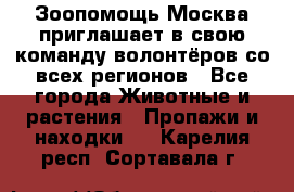 Зоопомощь.Москва приглашает в свою команду волонтёров со всех регионов - Все города Животные и растения » Пропажи и находки   . Карелия респ.,Сортавала г.